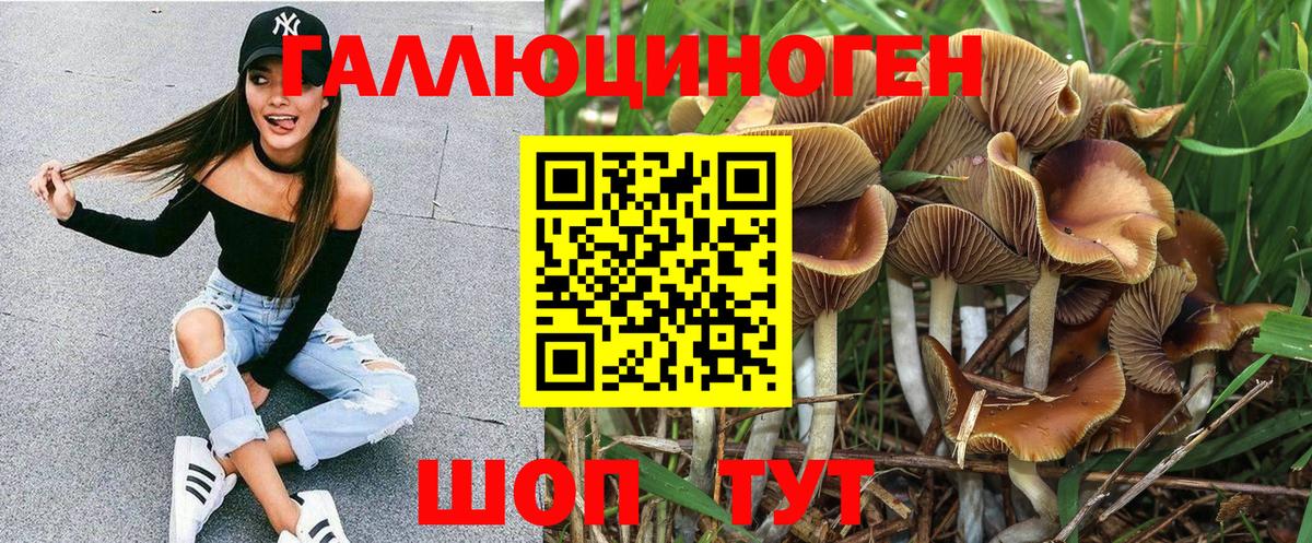 Псилоцибиновые грибы MAGIC MUSHROOMS Новозыбков