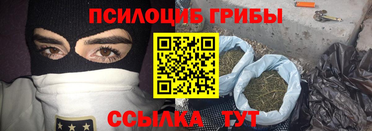 где купить наркоту  Псилоцибиновые грибы MAGIC MUSHROOMS  Вход с VPN  Новозыбков 
